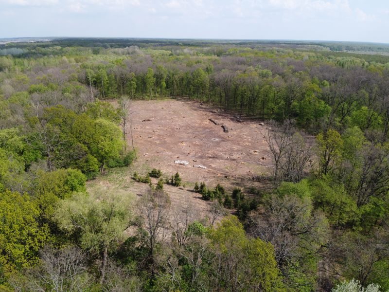Environmental Land Clearing Firms