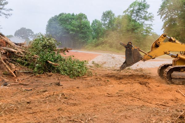 Ground Clearing in Destin