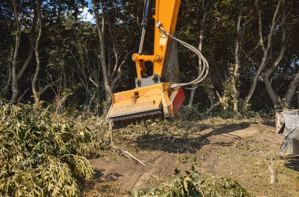 Brush Removal Service in Destin
