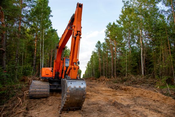 Backhoe Land Clearing in Destin
