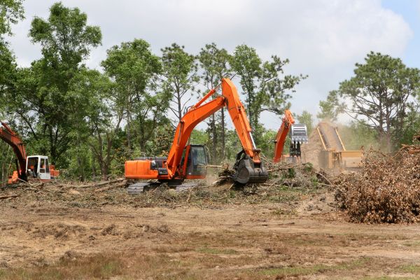 Commercial Lot Clearing in Destin